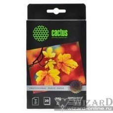 CACTUS CS-SGA628020 Фотобумага Professional полуглянцевая 10x15 280 г/м2 20 листов