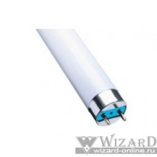 Лампа люминесцентная Philips TL-D G13 18W/33-640 SLV [815764]