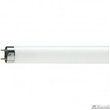 Лампа люминесцентная Philips TL-D G13 36W/33-640 SLV