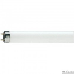 Лампа люминесцентная Philips TL-D G13 36W/33-640 SLV
