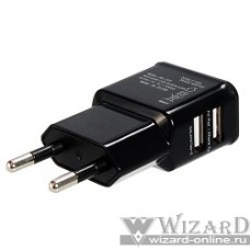 Orient Зарядное устройство USB от эл.сети PU-2402, DC 5V, 2100mA, 2 выхода (iPad,Galaxy), черный