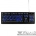 Гарнизон Клавиатура игровая GK-310G черный USB, металл, синяя подсветка, код "Survarium", антифант