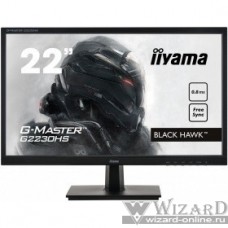 IIYAMA 21.5" G2230HS-B1 черный {TN LED 16:9 HDMI DisplayPort M/M Mat 250cd}